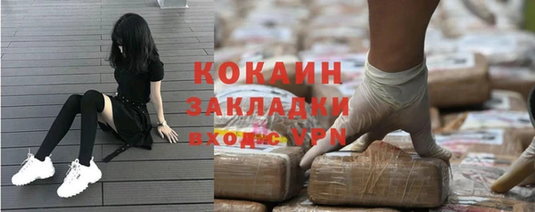 метадон Богданович
