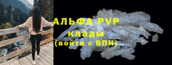 скорость Тайга