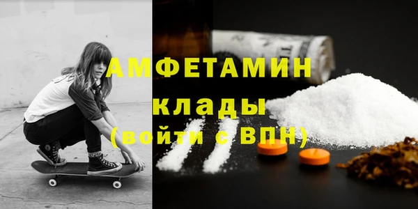 метадон Богданович