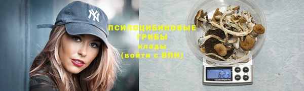 скорость Тайга