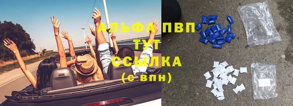 метадон Богданович