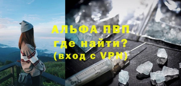 метадон Богданович