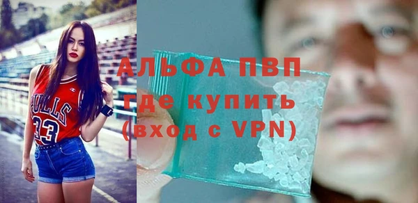 метадон Богданович
