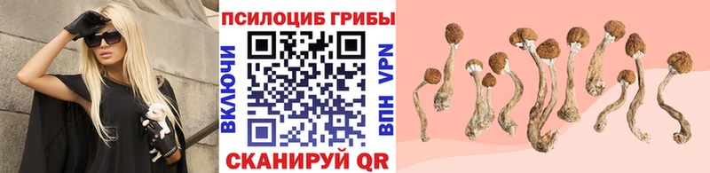 Купить где  Асбест  Галлюциногенные грибы мухоморы 